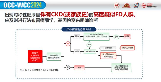 携手共进众志成城｜多方联动智慧诊疗共创法布雷患者新未来！(图7)