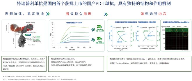 王涛教授：中国方案更广获益免疫颠覆三阴乳腺癌传统治疗｜2024北方沙龙·夏季论坛(图2)