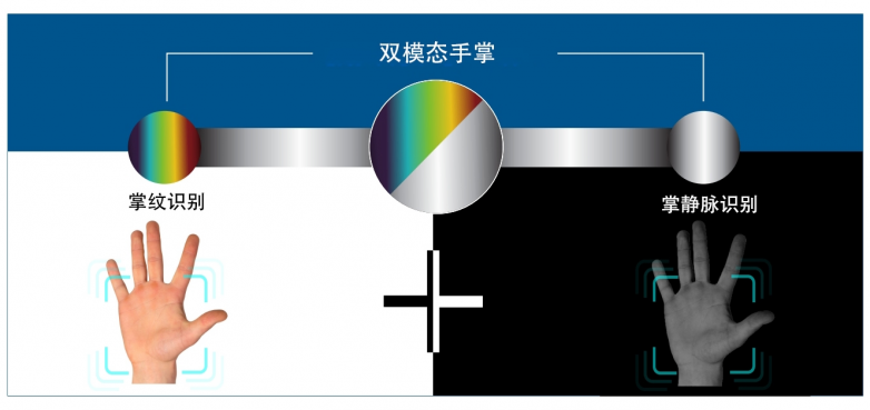 Emc易倍体育：加速城市数字化！多模态手掌识别技术引领场景创新(图2)
