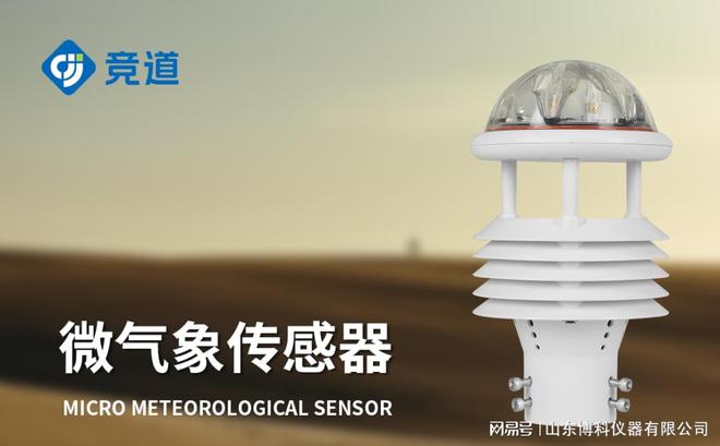 易倍体育网站：智慧城市中的气象传感器：提升城市环境监测的智能化(图1)