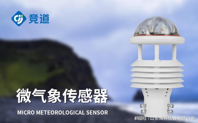 易倍体育网站：智慧城市中的气象传感器：提升城市环境监测的智能化(图2)
