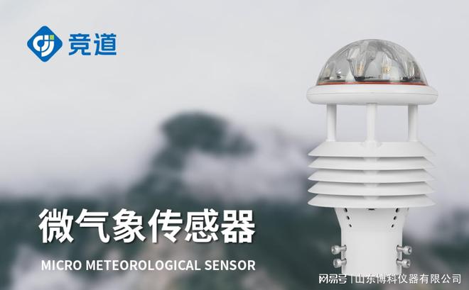 易倍体育网站：智慧城市中的气象传感器：提升城市环境监测的智能化(图3)