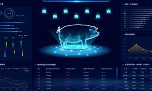 Emc易倍体育：智能医疗行业发展分析：未来医疗服务将更加智能化和高效化(图2)