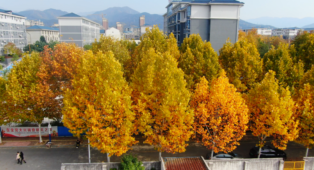 湖南中方县加快推进城市更新工程全力打造宜居、智慧城市(图5)