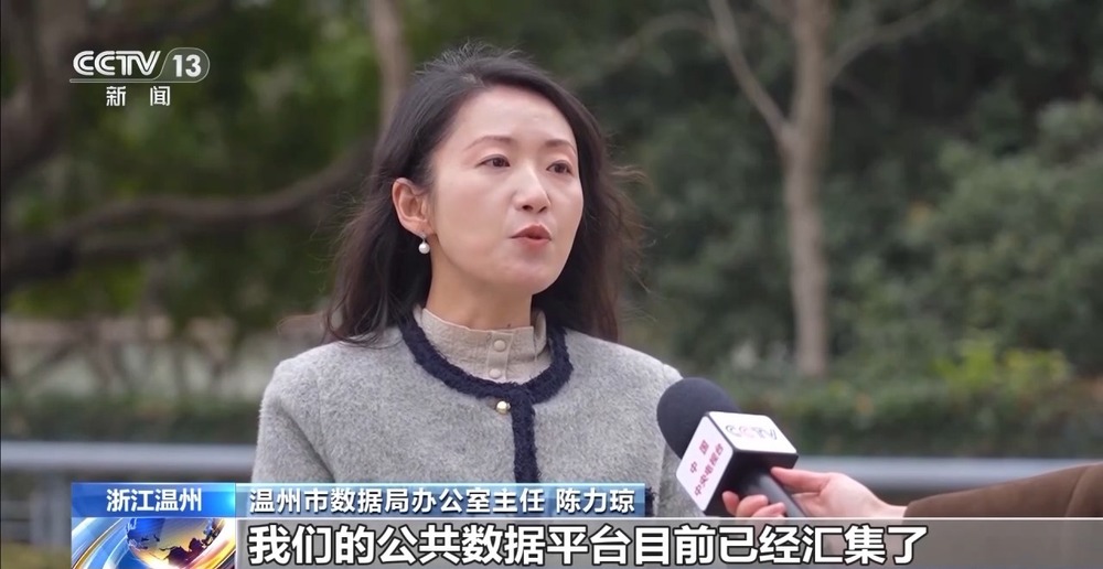 出行“一路绿灯”就医十几秒完成诊疗！看公共数据如何服务生活(图3)