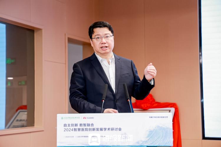 “创新实践数智融合——2024智慧医院创新发展学术研讨会”在德州举行_大众网(图10)
