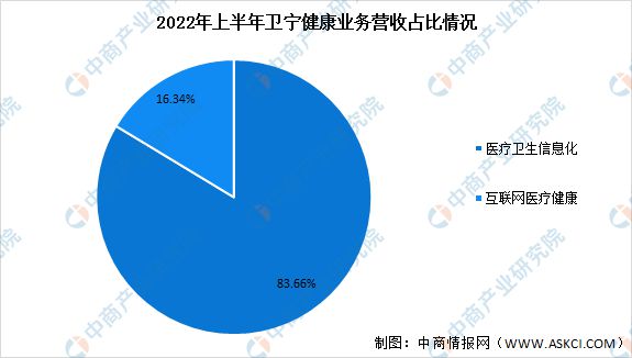 2023年中国智慧医疗市场前景及投资研究预测报告(图9)