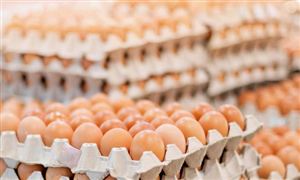 Emc易倍体育：2023智慧医疗行业现状与市场发展前景趋势分析(图6)