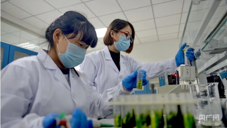 以食为“首”持之以“衡”十年书写从田间到舌尖的“民生答卷”(图1)