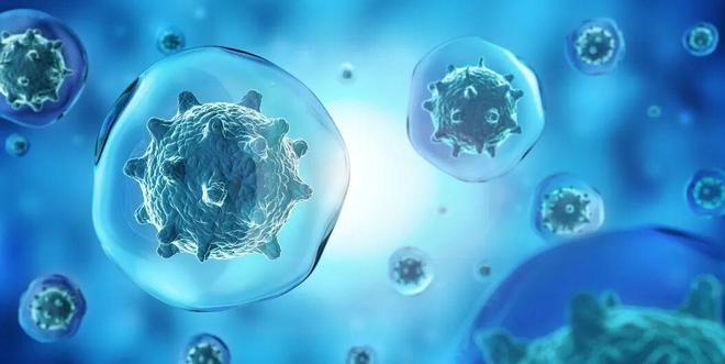 南京新百稳健转身大健康板块面临最后“破壁”(图7)