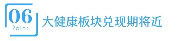 南京新百稳健转身大健康板块面临最后“破壁”(图9)