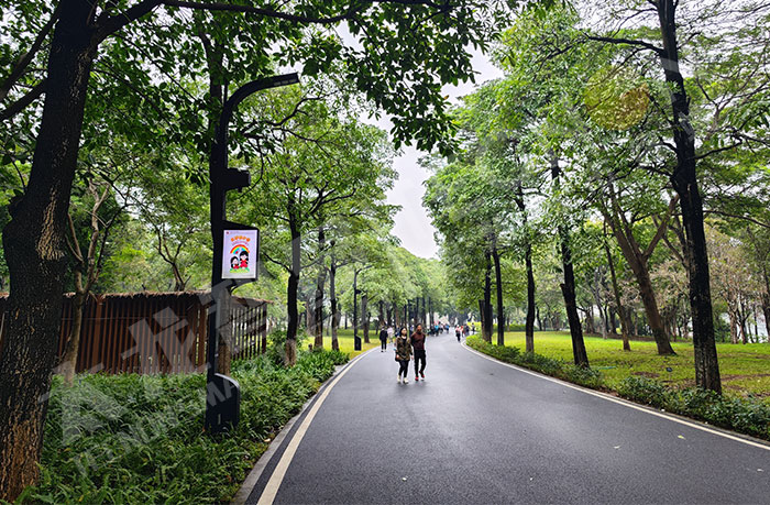 易倍体育网站：深圳在2024年全球智慧城市大会上荣获“城市大奖”(图3)