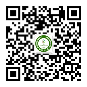 2024云智会盛大开幕：智慧城市行业云端盛宴正式启航(图1)