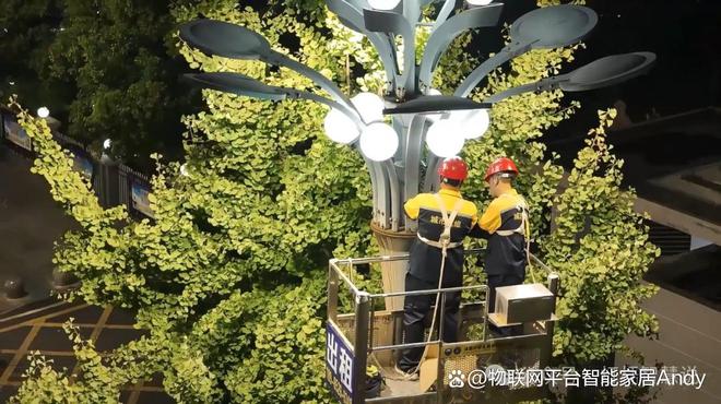 易倍体育网站：从“人巡”到“智控”智慧路灯让城市“亮”出科技范儿(图4)