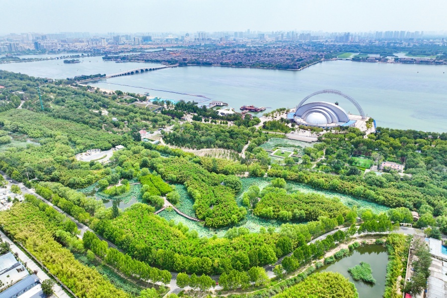 聊大龙舟时代翘楚丨两河之约的世界舞台——从“世界冠军”到“文化符号”的跨越系列报道④(图1)