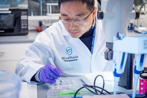 创造派如何改变世界？(图3)