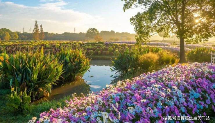 国印东方-小区环境-户型-价格-地址-楼盘详情-周边配套-国印东方售楼处电话-交房时间(图23)