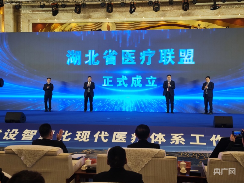 湖北启动智慧化现代医疗体系建设2027年将基本建成(图2)