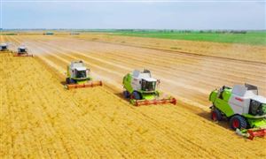 中国AI智慧医疗行业发展现状及未来发展前景趋势预测(图7)