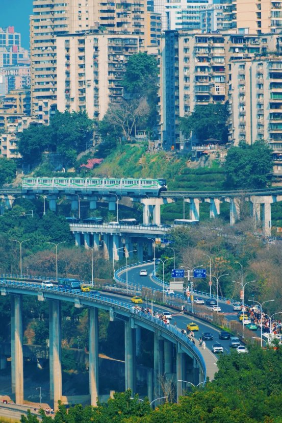 重庆市国有资产监督管理委员会(图1)