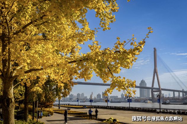 Emc易倍体育：☄瑞安翠湖滨江售楼处发布：滨江生态奢宅敬献城市层峰名仕(图21)